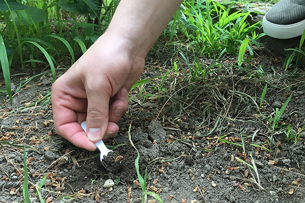 Hand holding sample spoon, digging in dirt